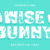 Wise Bunny Font