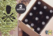 Beer Box & Caps Duo Mockup Poster 1