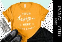 Burnt Orange Bella Canvas 3001 Mockup Poster 1