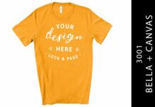 Burnt Orange Bella Canvas 3001 Mockup Poster 1