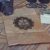 Crumpled Paper Bag Vertical