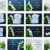 Flowers Mockup Styled Stock Photography Stock Photo