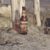 Formentera Coastal View | Beer Mockup