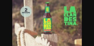 Formentera Crashboat Duo | Beer Mockups Poster 1