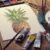 Paint Scenes X5