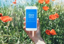 Phone / Smartphone Outdoor Mockups Poster 1