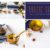 Rustic Setup Styled Photo Pack