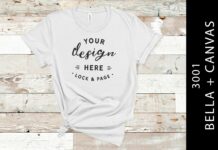 Silver Bella Canvas 3001 T Shirt Mockup Poster 1