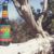 Tree Beer Mockup