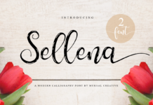 Sellena Brush Font Sellena Brush Font