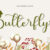 Cute Butterfly