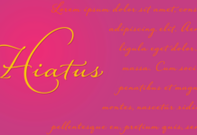 Hiatus