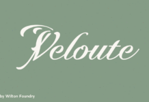 Veloute