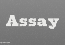 Assay