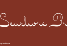 Seashore Pro