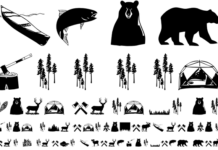 Wilderness Doodles