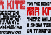Mr Kite