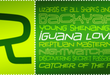 Iguana Lover BTN