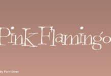 Pink Flamingo
