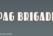 PAG Brigade