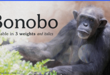 Bonobo