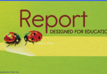Report