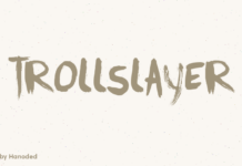Trollslayer