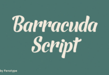 Barracuda Script