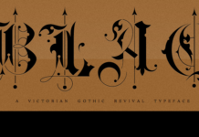 Blaq