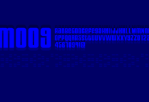 Moog