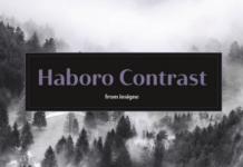 Haboro Contrast