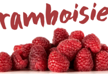 Framboisier