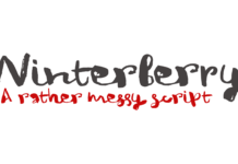 Winterberry