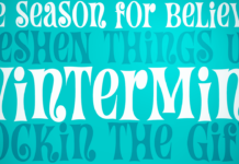 Wintermint