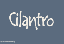 Cilantro