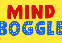 Mind Boggle
