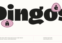 Dingos