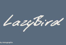 LazyBird