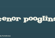 Senor Pooglins