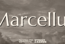 Marcellus Pro