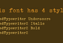 Erased Typewriter 2