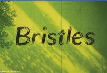 Bristles