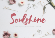Soulshine