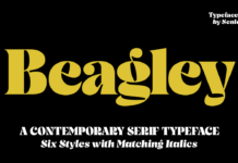 Beagley Display