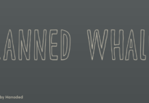 Canned Whale