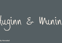 Huginn & Muninn