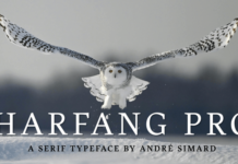 Harfang Pro