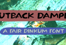 Outback Damper