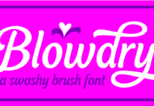 Blowdry