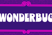 Wonderbug